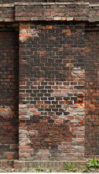 Photo Textures of Wall Bricks